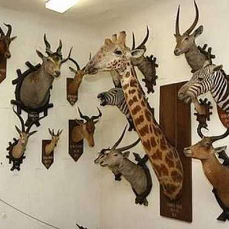 Zoologický depozitář
