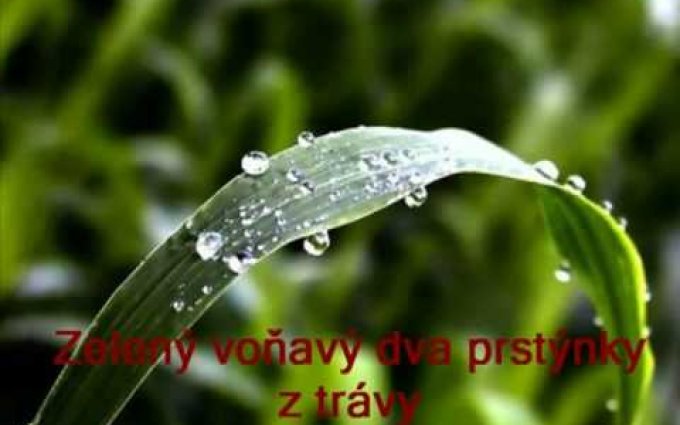 Nezmaři - Bodláky ve vlasech