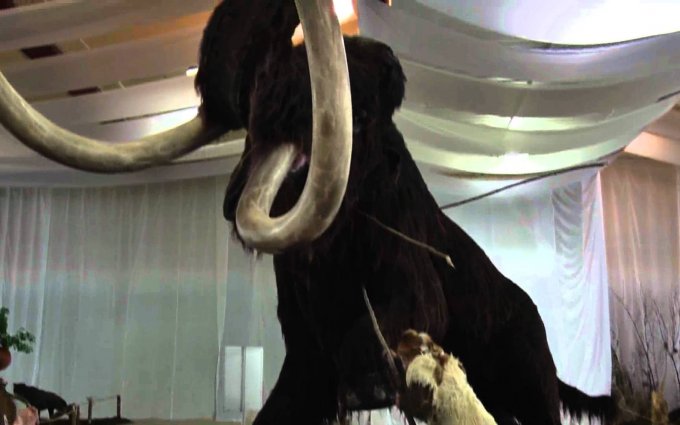 SM2 - doba ledova.wmv