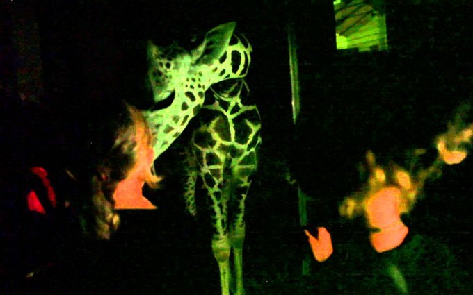 Večerní prohlídky v Zoo Praha