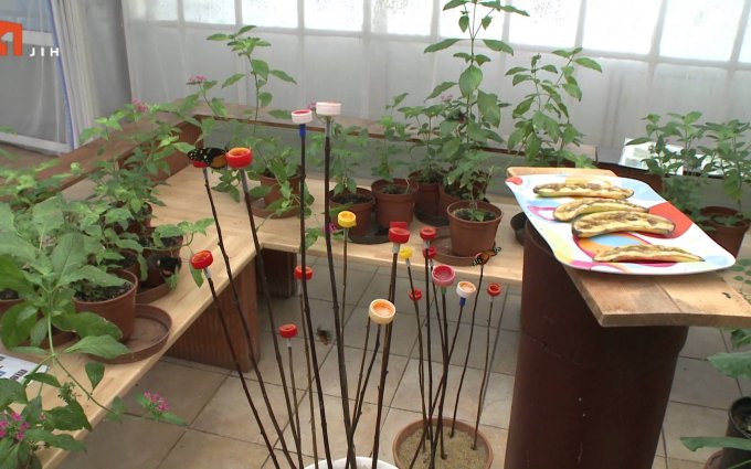 NA ŠPACÍRU - MOTÝLÍ DŮM