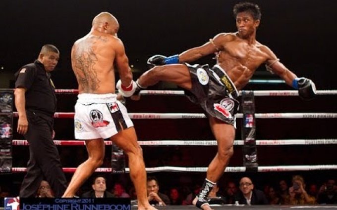 Buakaw Banchamek Highlights 2014