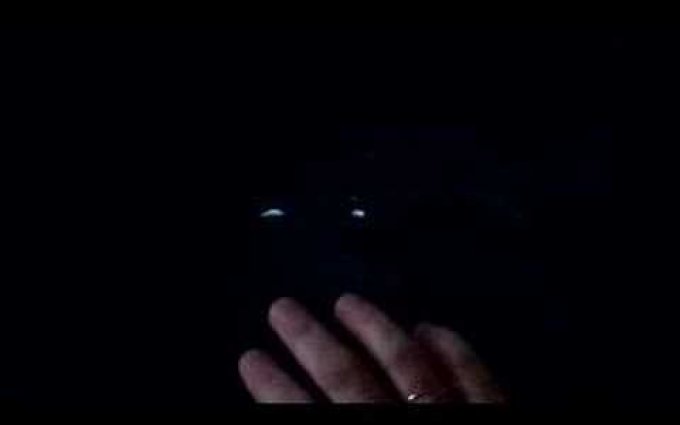 Sylvie Krobová - Svět podivínů