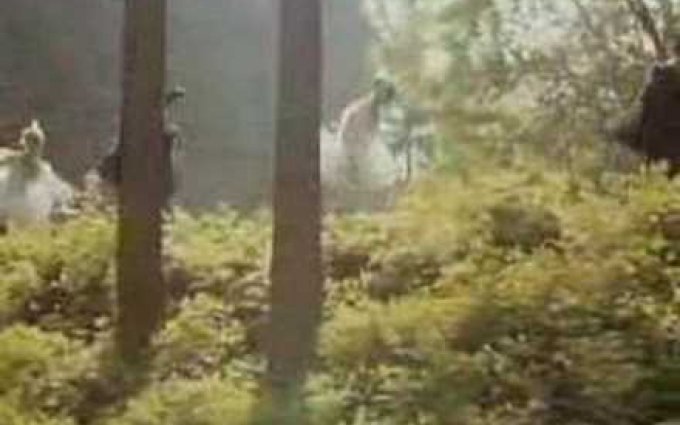 V.TRHÁK - Nech brouka žít...