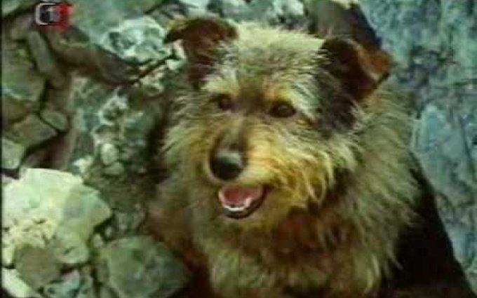 Návštěvníci - 3.časť (2/3)