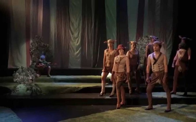 O Smolíčkovi - divadlo Minor