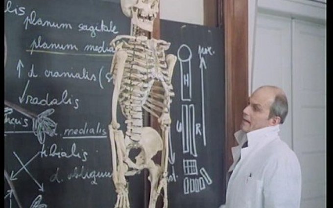 Jak básníci přicházejí o iluze