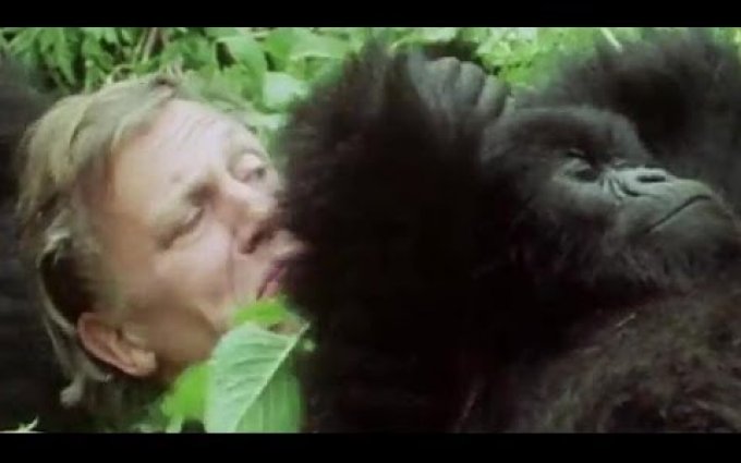 Your Favourite Sir David Attenborough Moments! #AttenboroughWeek - BBC Earth