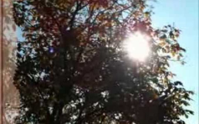 Jan Nedvěd - Zvony zvoní jen chvíli [4]