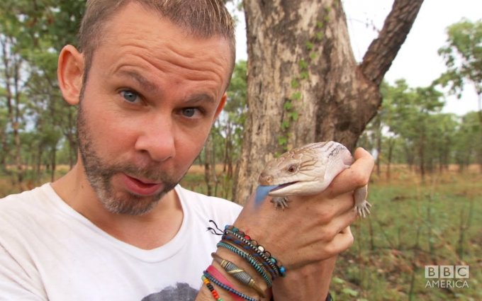 DOMINIC MONAGHAN's Looking For Australia's Ghost Bat - WILD THINGS Ep 2 Trailer Apr 1 BBC AMERICA