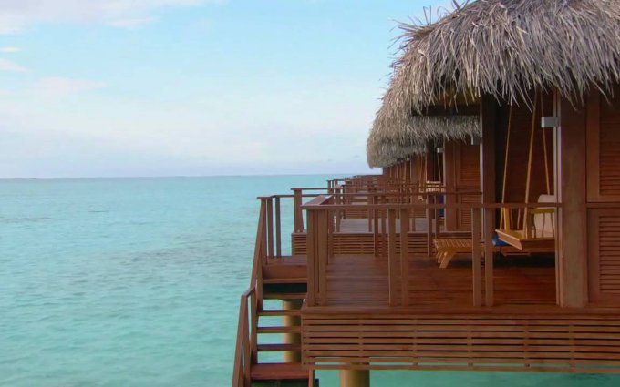 Chris Rea - Thinking Of You