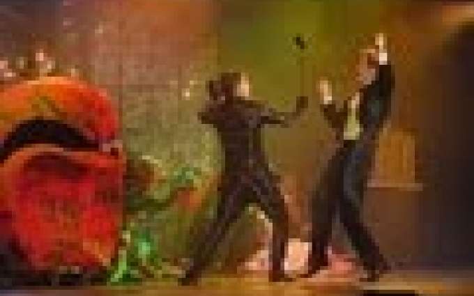 Muzikál "Adéla ještě nevečeřela" v Divadle Broadway (Háma, Langmajer, Čvančarová)