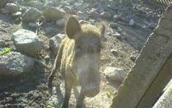 Pavel Vitek Mam rad vuni tvy kuze