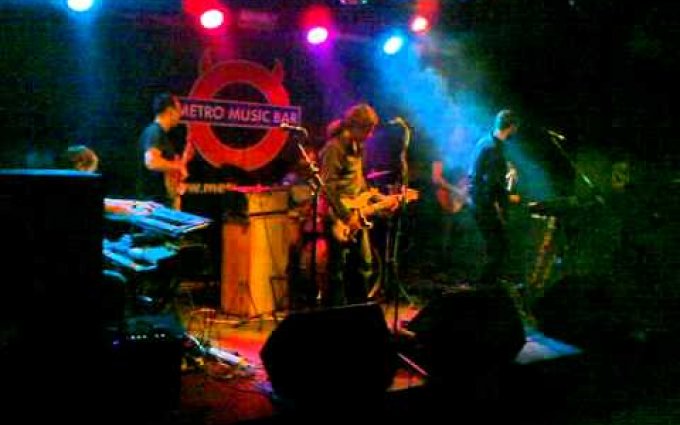 Distant Bells - Pigs