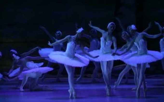 Tchaikovsky: Swan lake / Labutí jezero - Prague State Opera