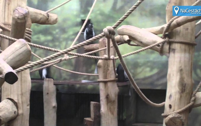 Zoo Dvůr Králové 2014 [NaCestách.eu]