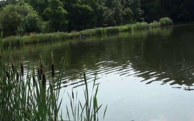 Koupání v Praze: Motol