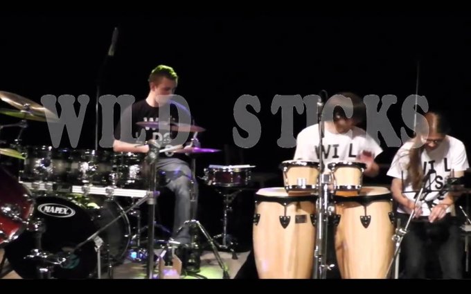 Wild Sticks