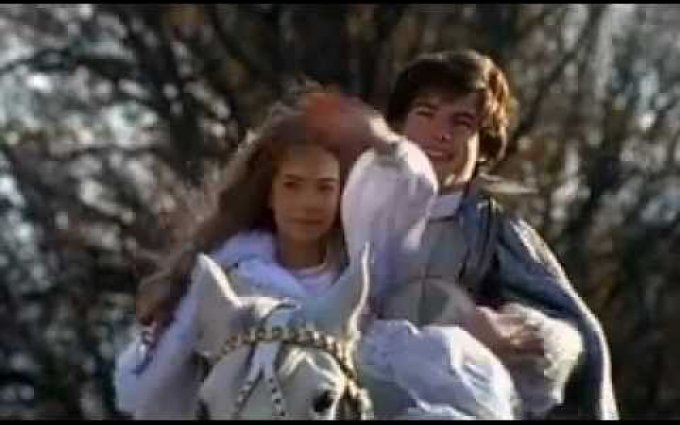 Řád saténových mašlí - Jan Maxián