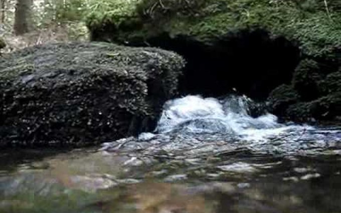 Hana a Petr Ulrychovi - Modlitba