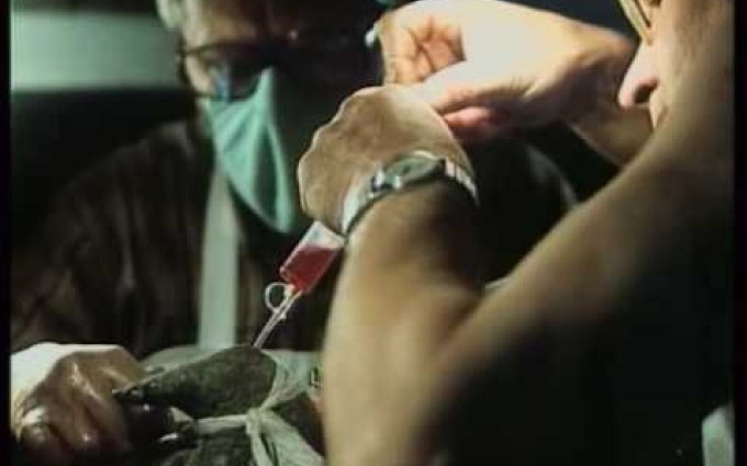 Ropáci / Oil Gobblers [part 3/3] (EN subtitles)