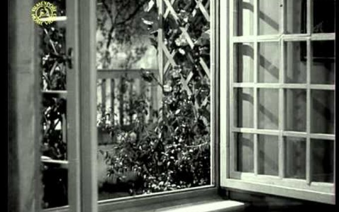 Eva tropí hlouposti