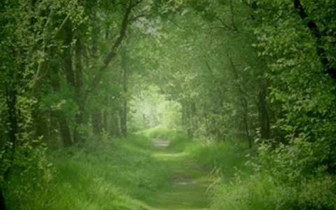 Air - Johann Sebastian Bach