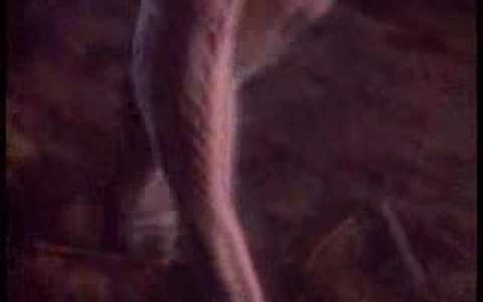 Helloween - Halloween (1987)