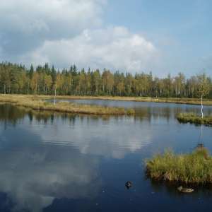 Obrázek