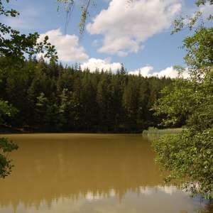Obrázek