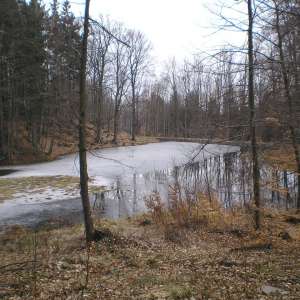 Obrázek