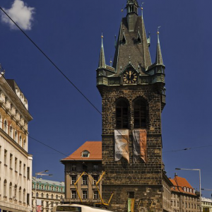 Obrázek