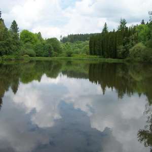 Obrázek