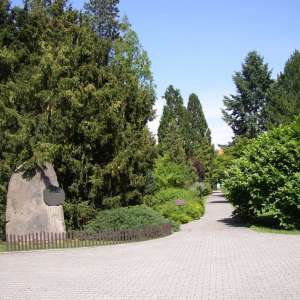 Obrázek