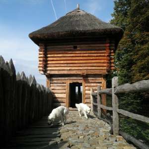Obrázek