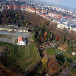 Obrázek