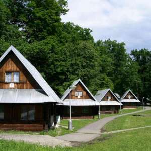 Obrázek