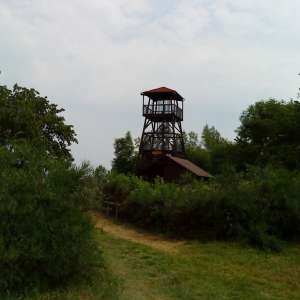 Obrázek