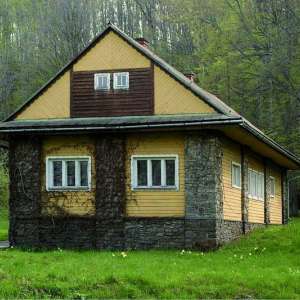 Obrázek