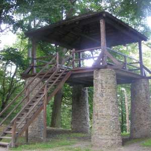 Obrázek