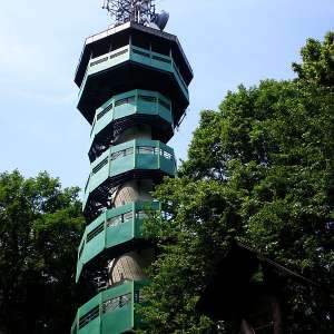Obrázek