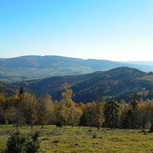Obrázek