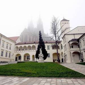 Obrázek