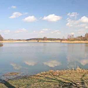 Obrázek