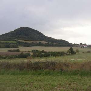 Obrázek