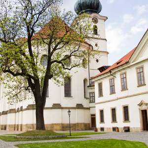 Obrázek