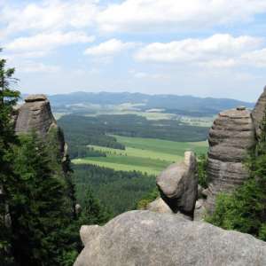 Obrázek