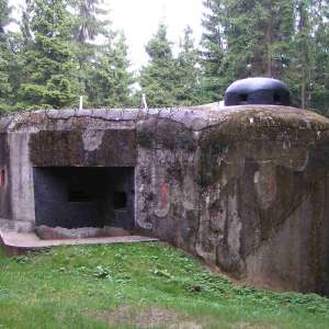 Obrázek