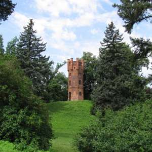 Obrázek