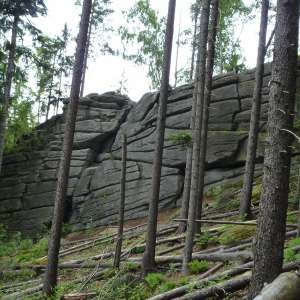 Obrázek